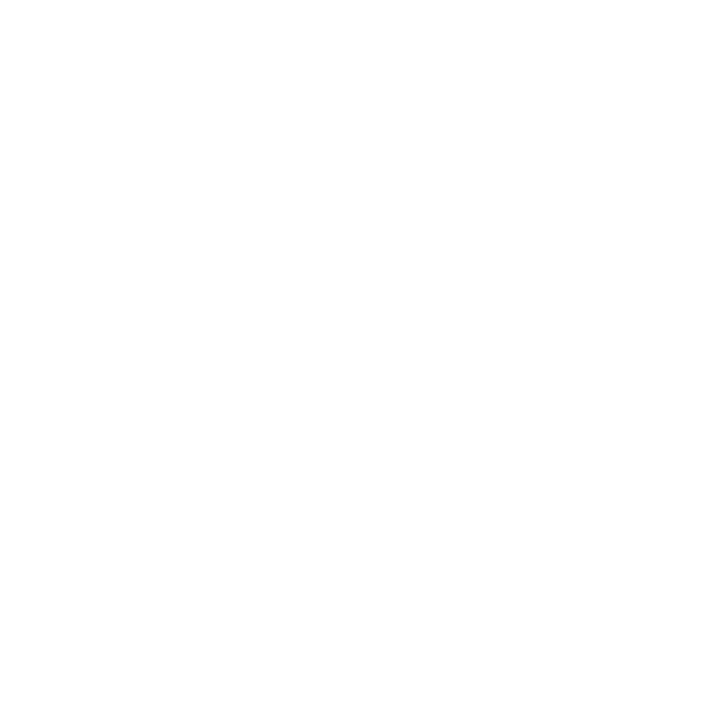 Subnet 41